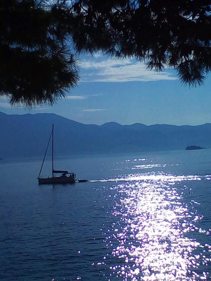 Luxury Apartment Korcula - Villa Sunny Days Экстерьер фото